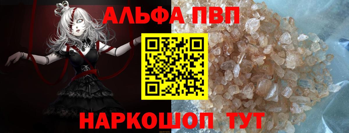 A PVP СК Самара