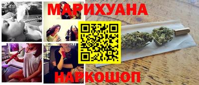 крисы Будённовск