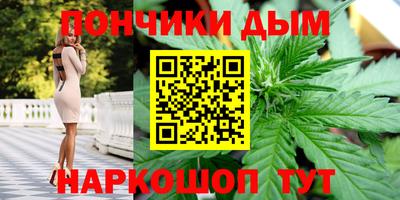 крисы Будённовск