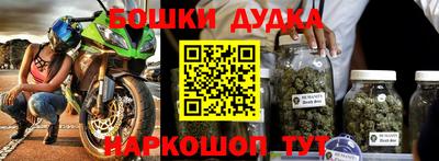 крисы Будённовск