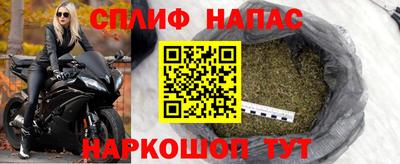 крисы Будённовск