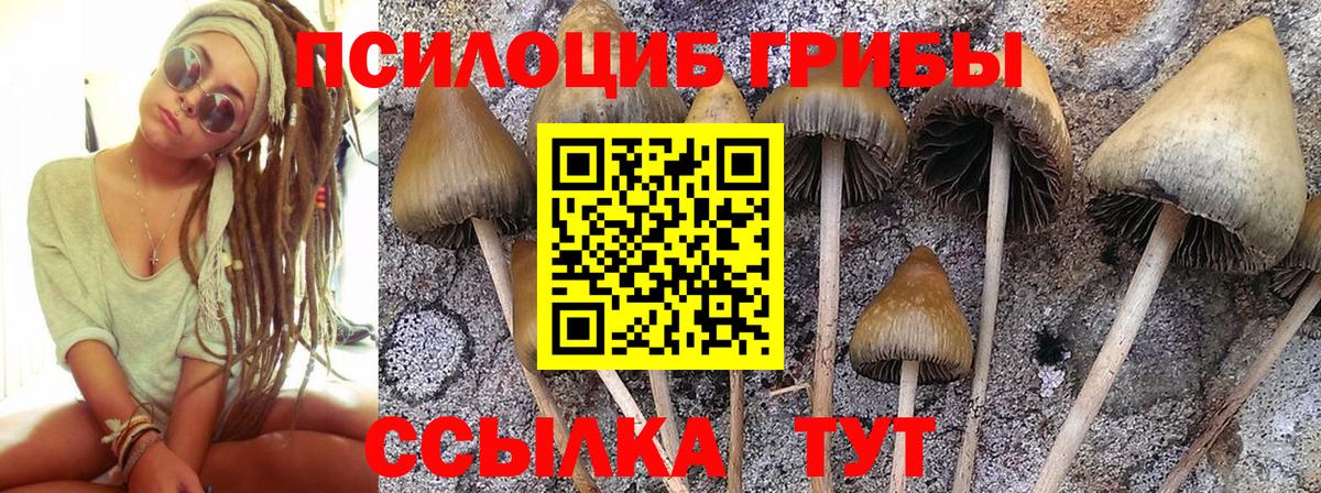 Галлюциногенные грибы прущие грибы  Вход с VPN  Самара 